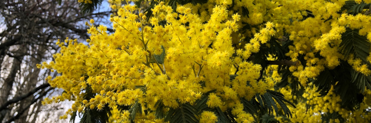 HeleneThomy's profile banner image