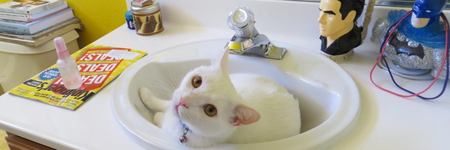 Katherine Keller banner