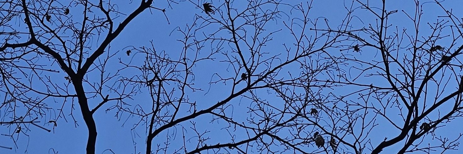 별구름(저장고2 banner