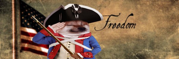 FellaBoston Profile Banner