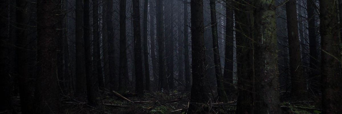 AnarchyDecay90's profile banner image