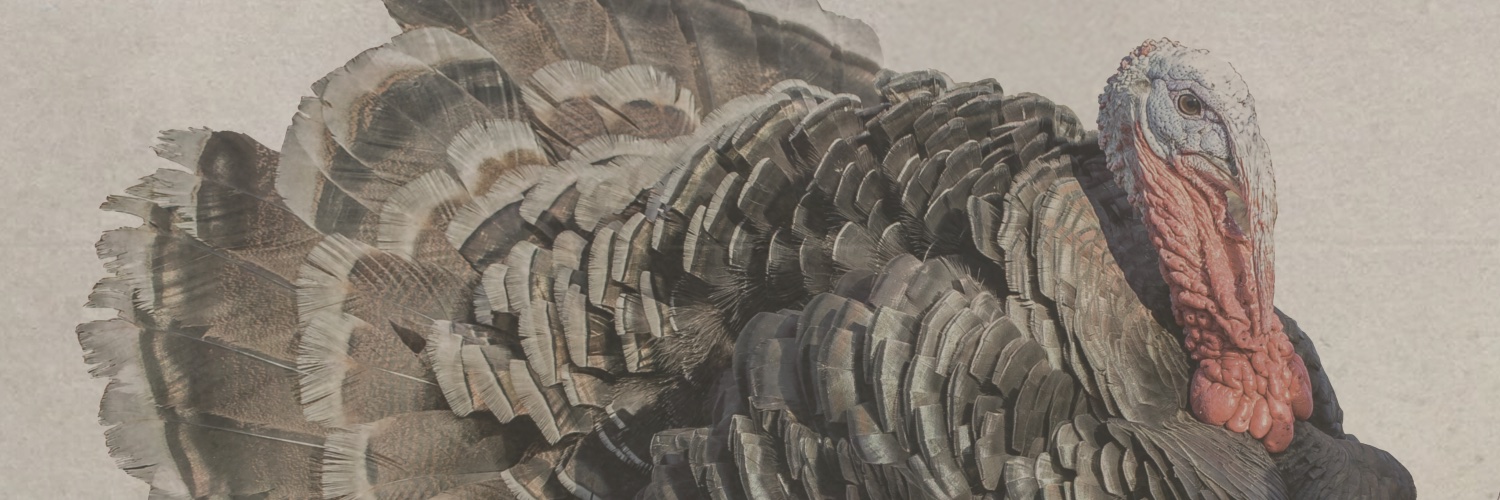 BalldwinBros's profile banner image
