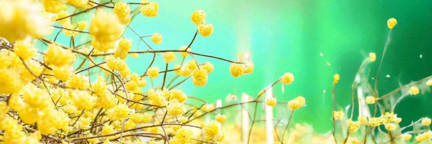eap8q_m's profile banner image