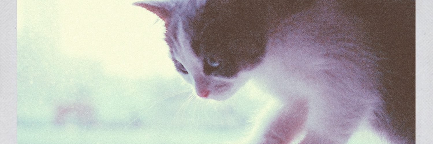 wif6m's profile banner image