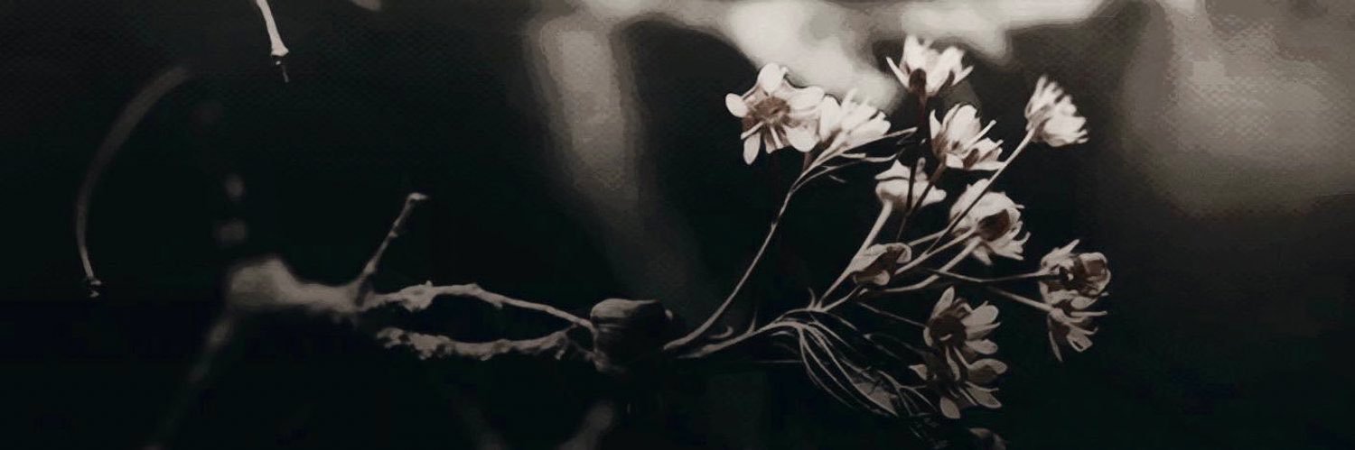 Mihaila Krum. banner