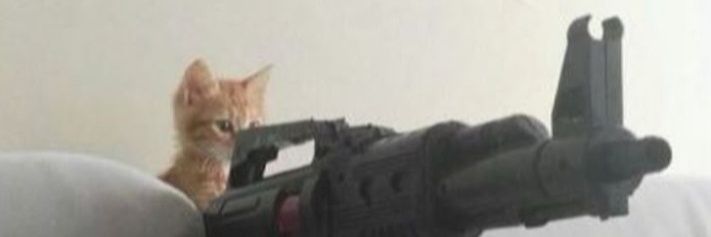 WTHCH4RLS's profile banner image