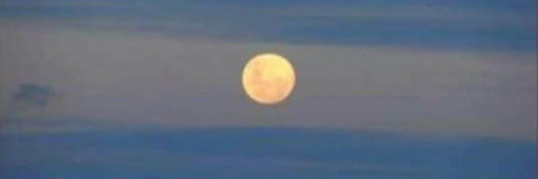 E banner