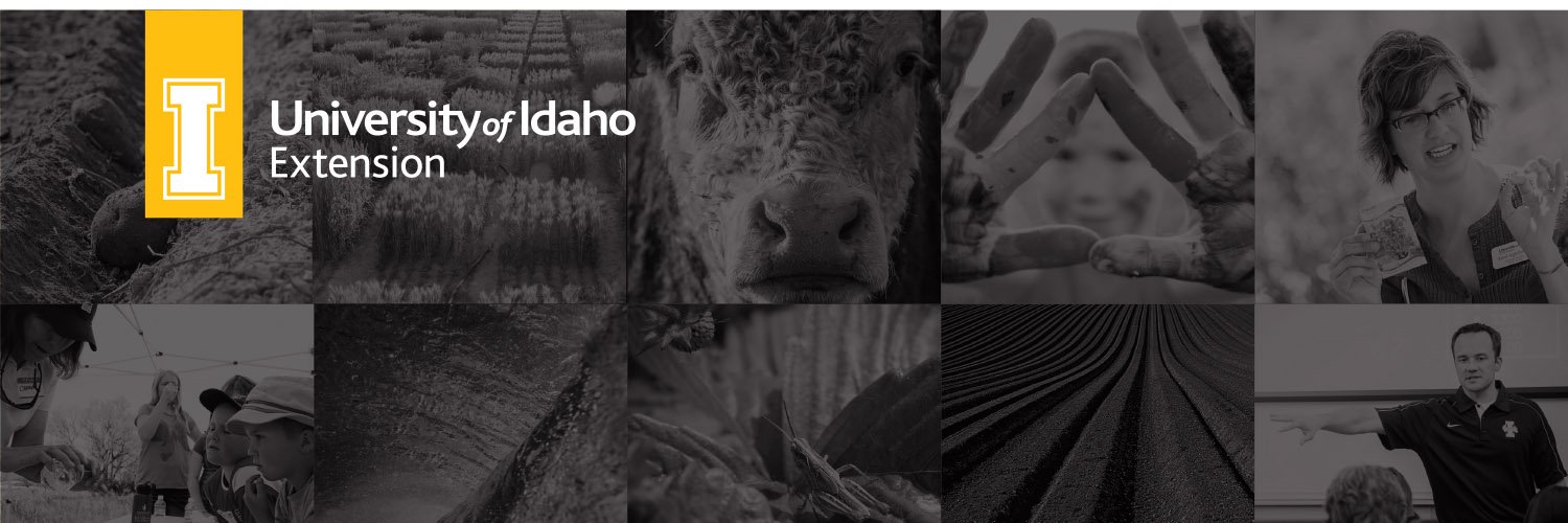 uidahoextension's profile banner image