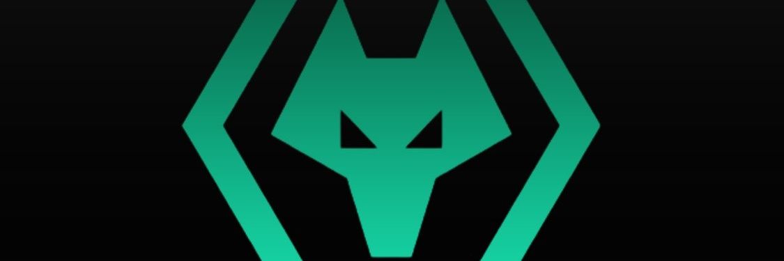 433wolves's profile banner image