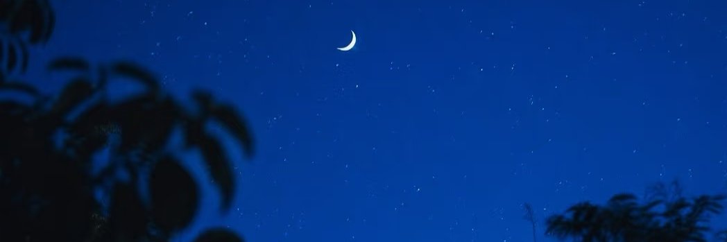 mangofragile's profile banner image