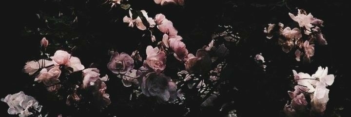 Hanin_888's profile banner image