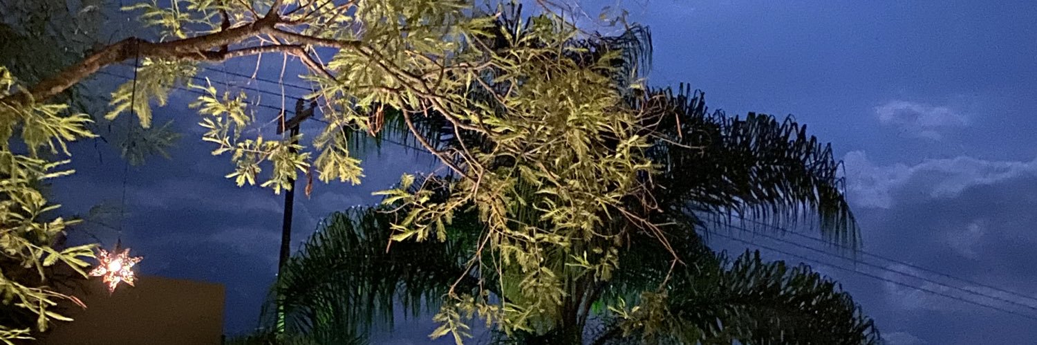 clemengv's profile banner image