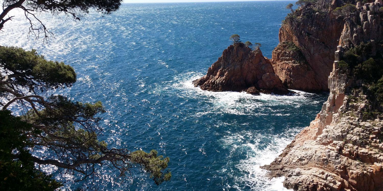 JUAN CARLOS MAMPASO banner