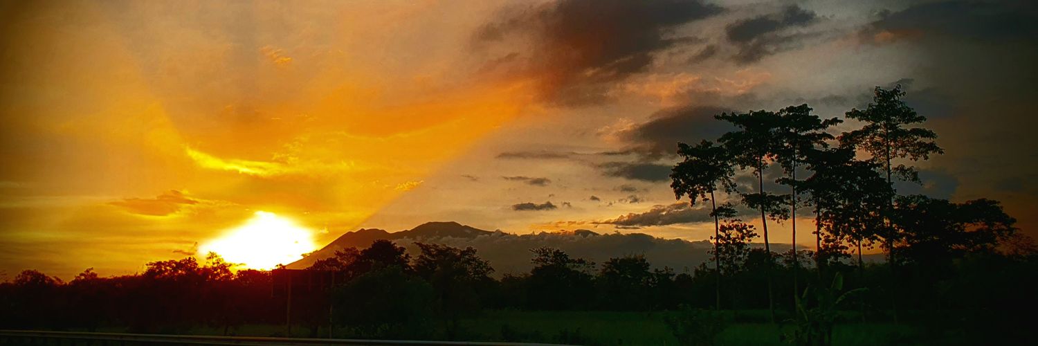 willbulo's profile banner image