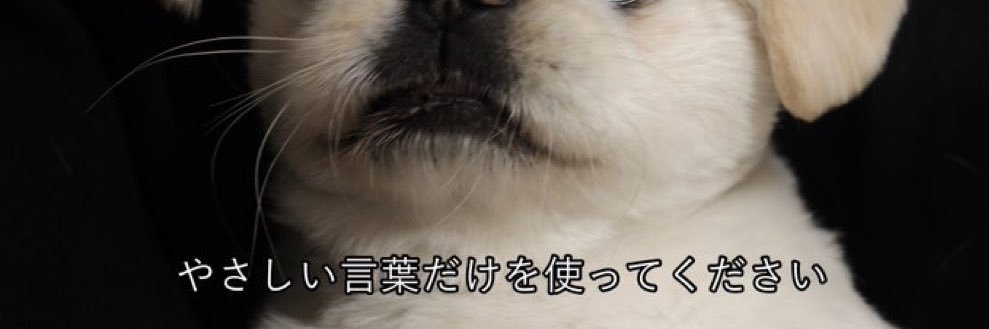rrrr__luvu's profile banner image