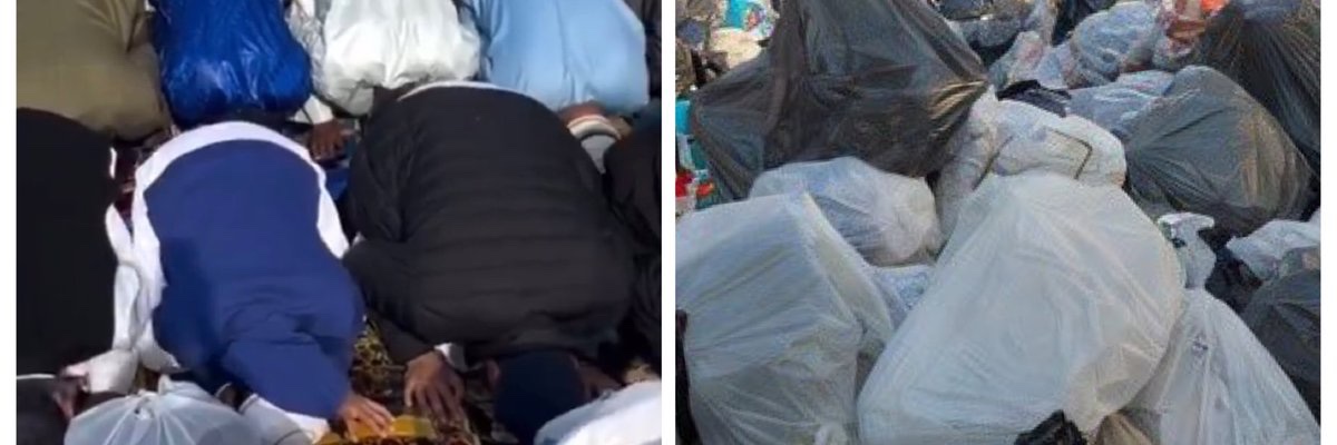 Elias de Poop banner