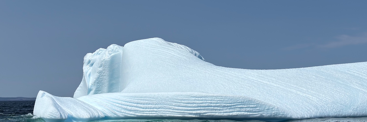 MapleResistance banner