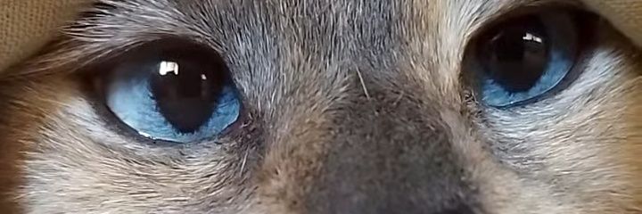 aigow_'s profile banner image