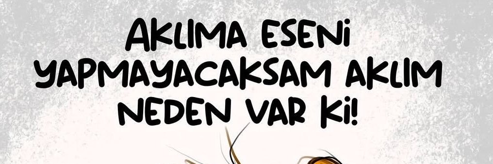 IremBas's profile banner image