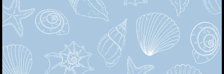 anninhas2's profile banner image