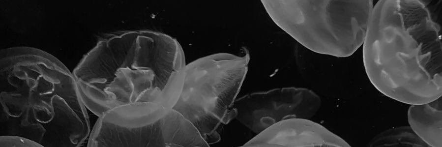 天瀬 banner