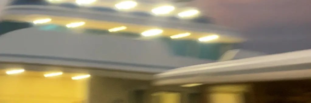 Joey banner