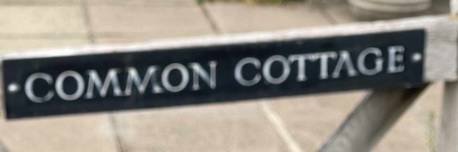 Challenging Cliches banner