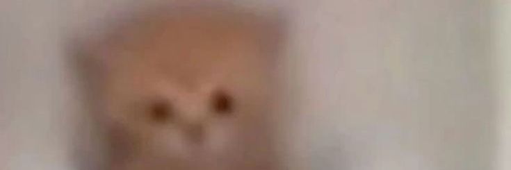 mattcheetos's profile banner image