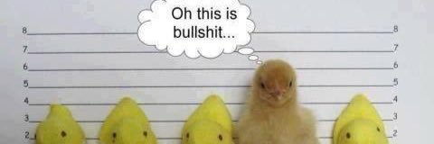 Barney Rodwell banner