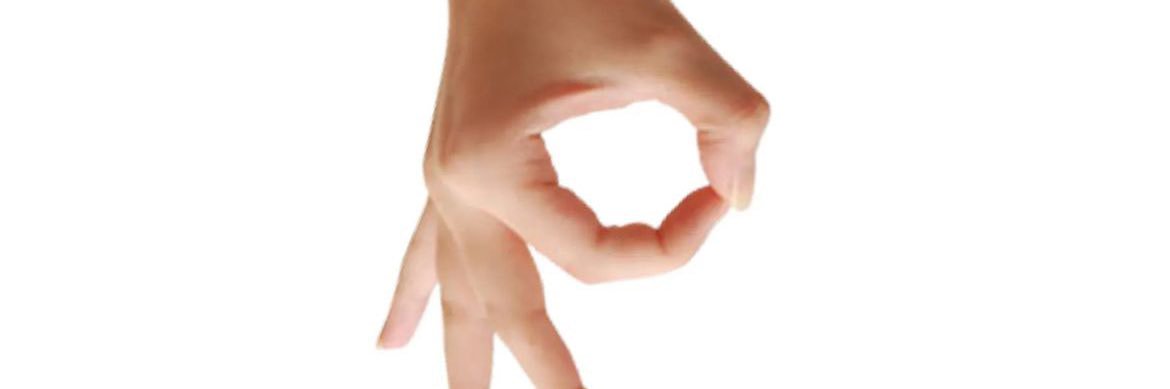 ellybibbi's profile banner image