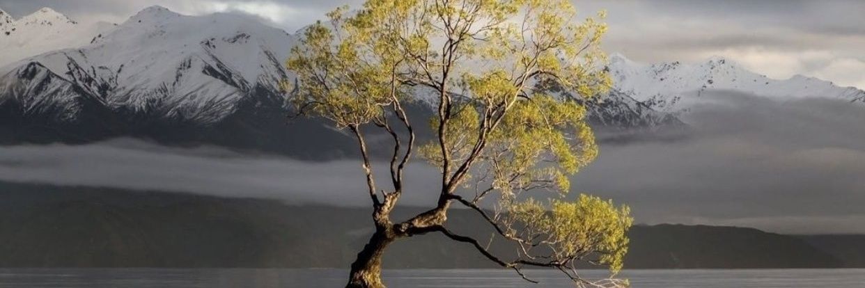 MRTYLC58's profile banner image