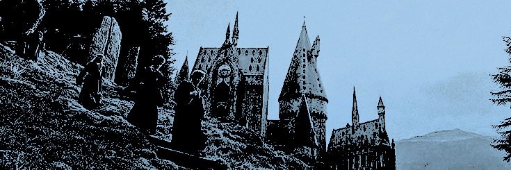 ᅟᅟℋ𝐚𝐫𝐫𝐲ᅟ𝒫𝐨𝐭𝐭𝐞𝐫ᅟ⚯ ͛ banner