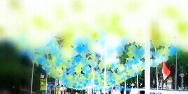 zh_ulya's profile banner image