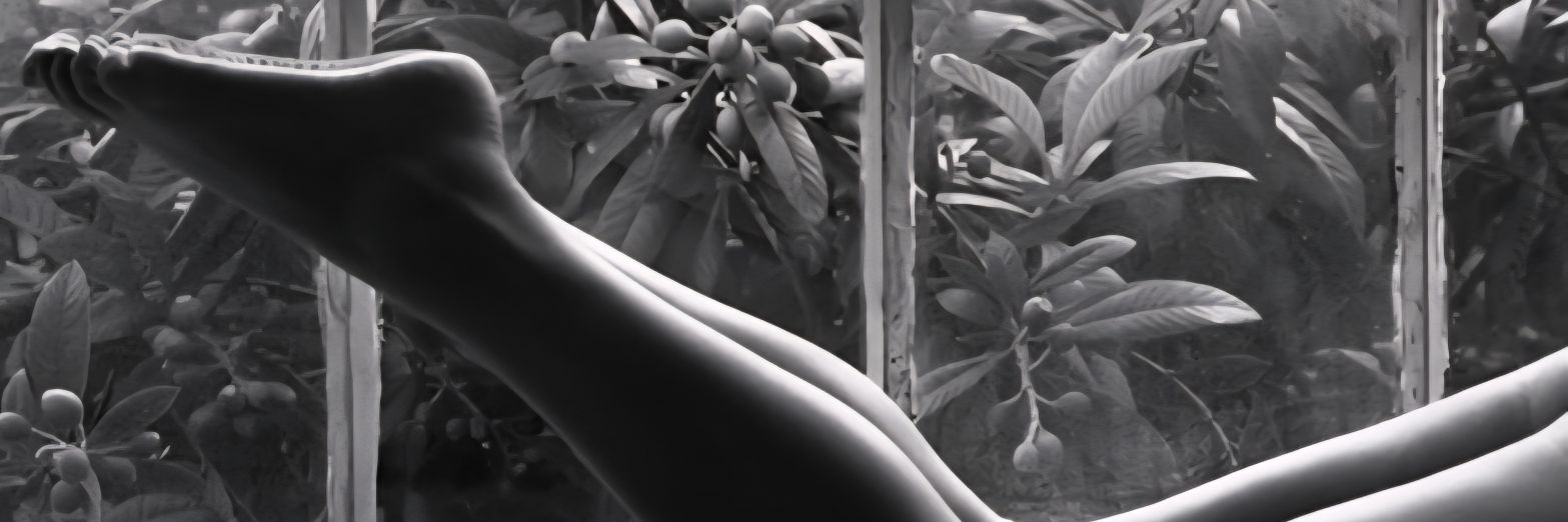 Southern Soles banner