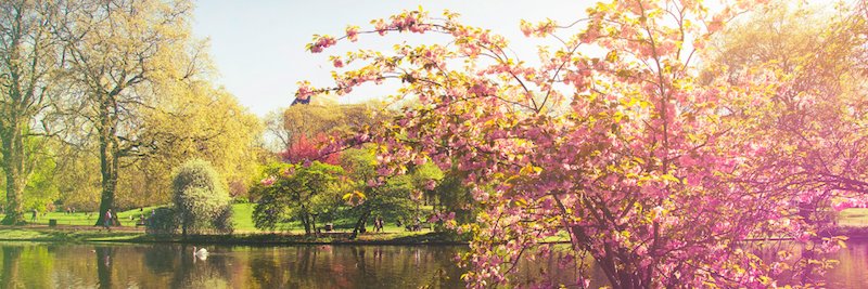 helen363's profile banner image