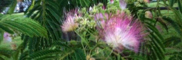 JerryHindes Profile Banner