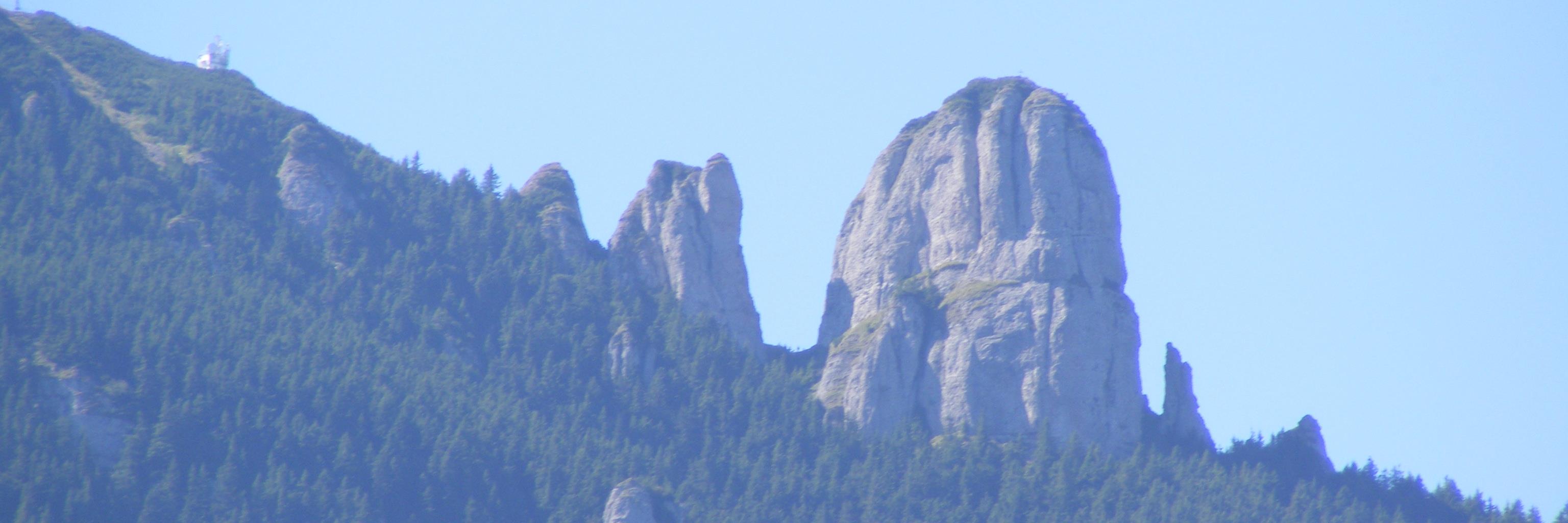 Razvan Preotu banner