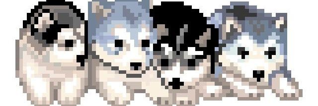 pixelwon's profile banner image