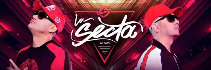 dendritasecta's profile banner image