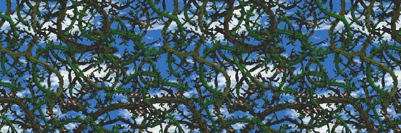 Momazos Nauta banner