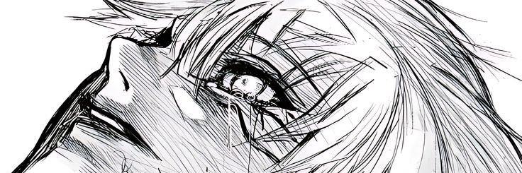 zZz banner