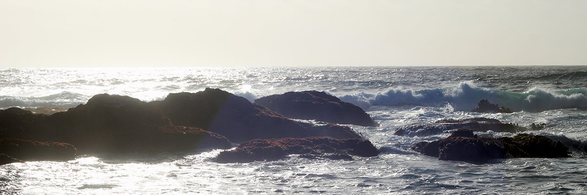 LynnetteKraft's profile banner image