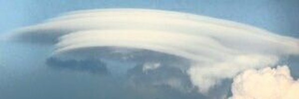 Siskinblink Profile Banner