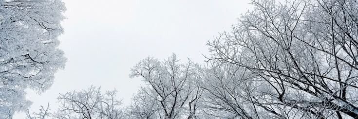 maplefromcanada's profile banner image