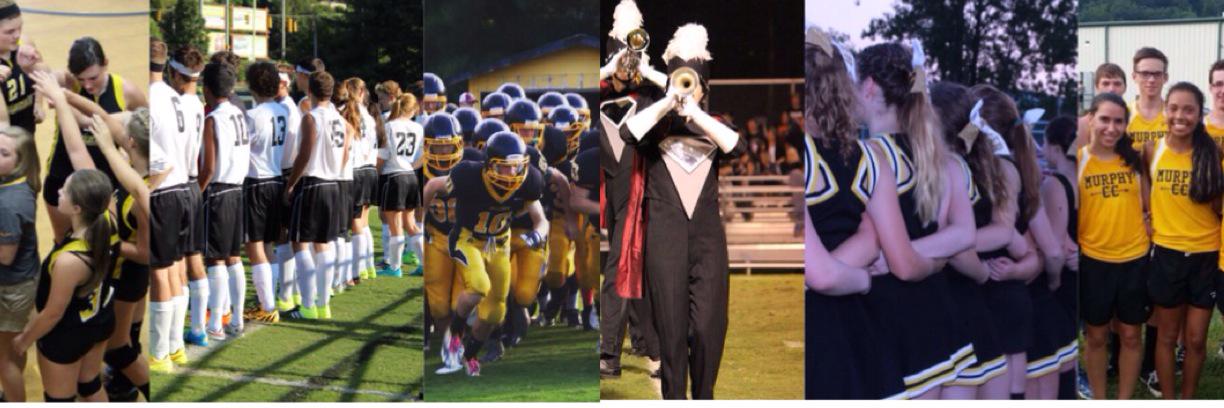 MurphyHighDogs's profile banner image