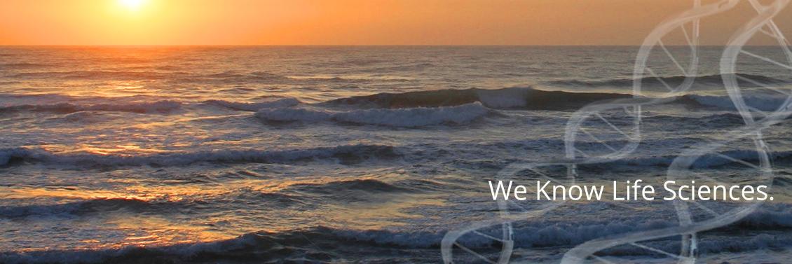 SequoiaSolution's profile banner image