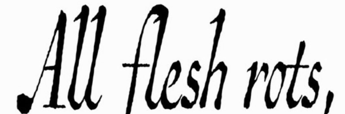 salve - 🔜 FWA26 banner