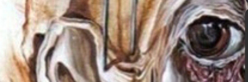 Yayiaaaan's profile banner image