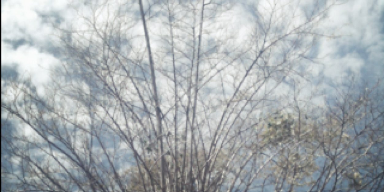 novadidea's profile banner image