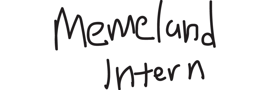 memeland intern banner